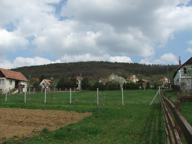 Plot of field near to Heviz