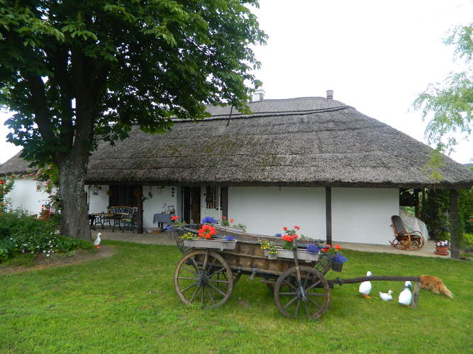 A house with thatched roof