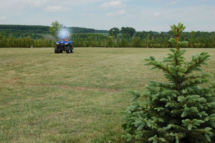 The big well-groomed site in 10 km from Heviz and Balaton