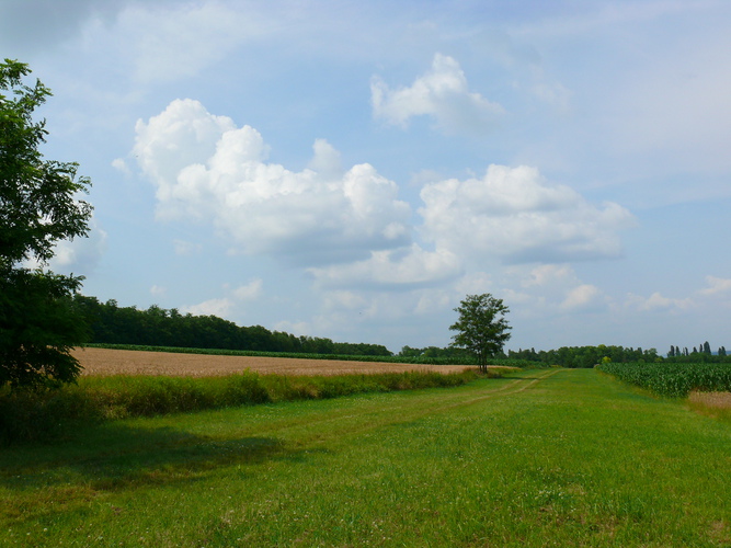 Plots of field near to Heviz