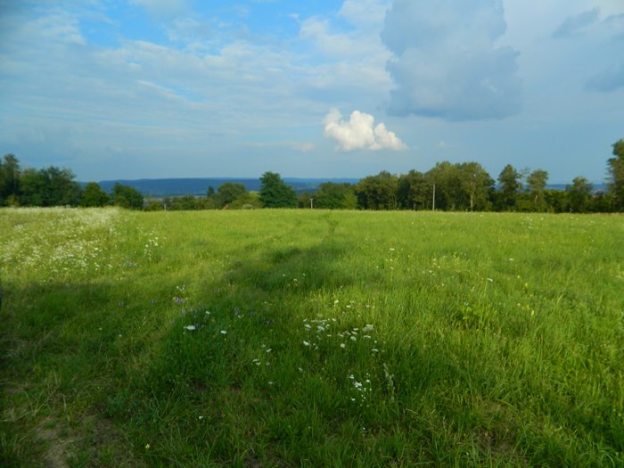 Участки с панорамой