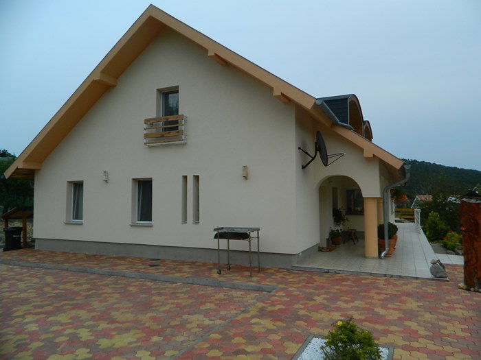 Perfect house on a big plot of field