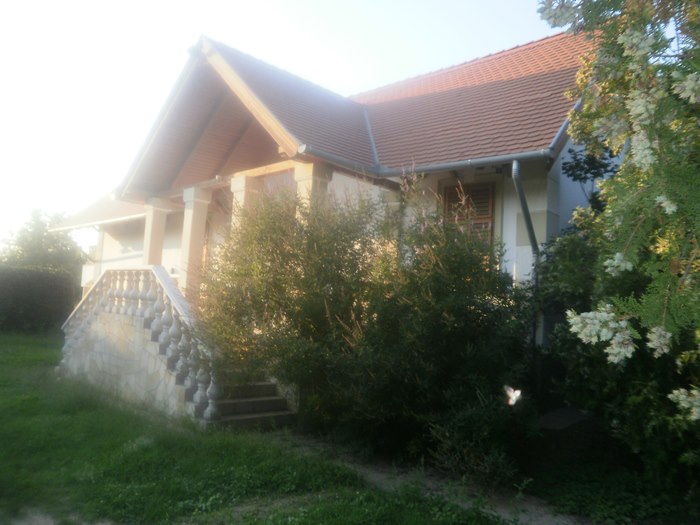 House with swimming pool